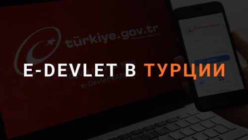 Обложка статьи "E-Devlet в Турции"